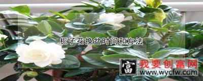 栀子花换盆时间和方法