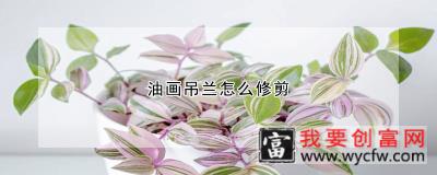 油画吊兰怎么修剪