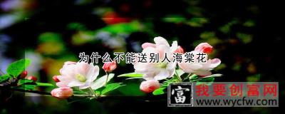 为什么不能送别人海棠花