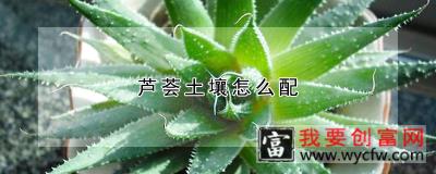 芦荟土壤怎么配