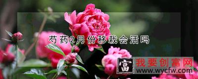 芍药2月份移栽会活吗