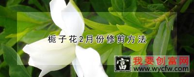 栀子花2月份修剪方法