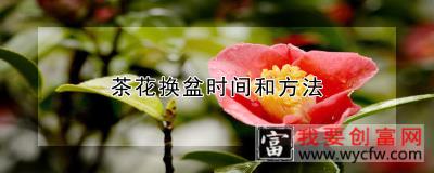 茶花换盆时间和方法