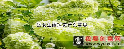 送女生绣球花什么意思