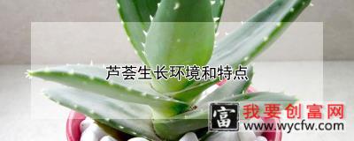 芦荟生长环境和特点