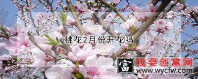 桃花2月份开花吗