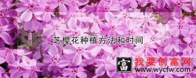 芝樱花种植方法和时间