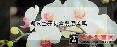 蝴蝶兰开花需要温差吗