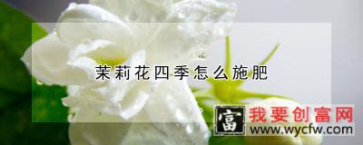 茉莉花四季怎么施肥