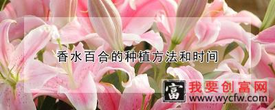 香水百合的<a href=https://www.wycfw.com/e/tags/?tagid=232 target=_blank class=infotextkey>种植方法</a>和时间