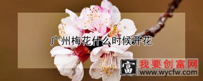 广州梅花什么时候开花