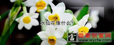 水仙花像什么？