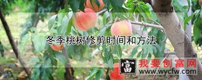 冬季桃树修剪时间和方法