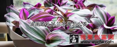 油画婚礼吊兰冬天怎么养