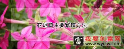 花烟草主要繁殖方法