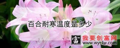 百合耐寒温度是多少