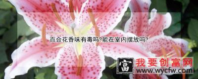 百合花香味有毒吗？能在室内摆放吗？