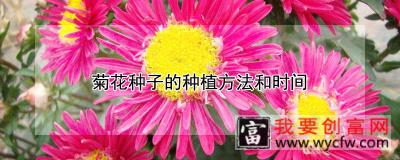 菊花种子的<a href=https://www.wycfw.com/e/tags/?tagid=232 target=_blank class=infotextkey>种植方法</a>和时间