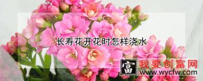 长寿花开花时怎样浇水