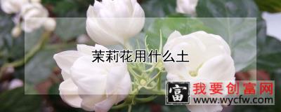 茉莉花用什么土