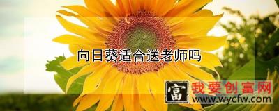 向日葵适合送老师吗