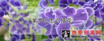 紫罗兰怎么插花