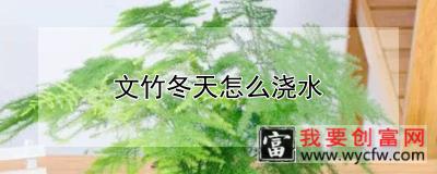 文竹冬天怎么浇水