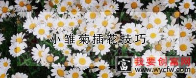 小雏菊插花技巧