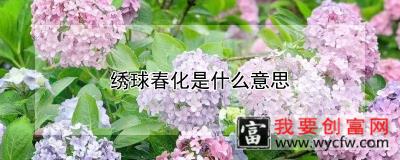 绣球春化是什么意思