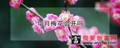 10月梅花会开吗