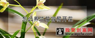 怎么养兰花容易开花