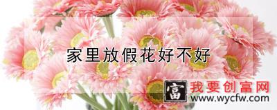 家里放假花好不好