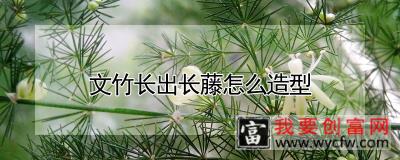 文竹长出长藤怎么造型