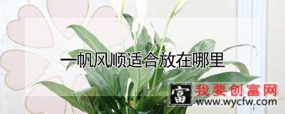 一帆风顺适合放在哪里