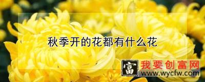 秋季开的花都有什么花