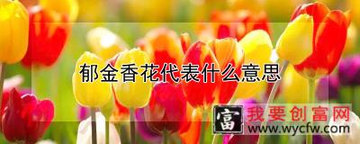 郁金香花代表什么意思