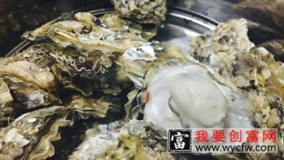 海蛎子就是生蚝吗