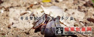 寄居蟹500毫升水放多少盐