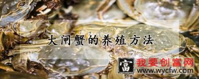 大闸蟹的养殖方法