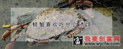 螃蟹喜欢吃什么诱饵