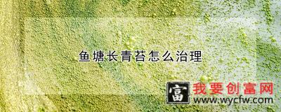 鱼塘长青苔怎么治理