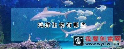 海洋生物有哪些