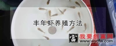 丰年虾养殖方法