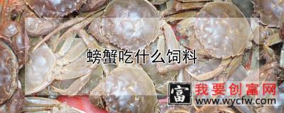 螃蟹吃什么饲料