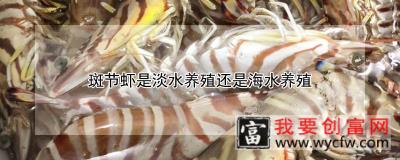 斑节虾是淡水养殖还是海水养殖