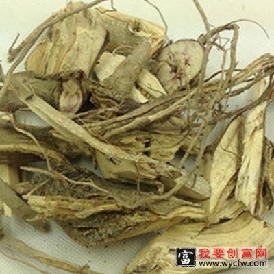 蓖麻根的功效与作用