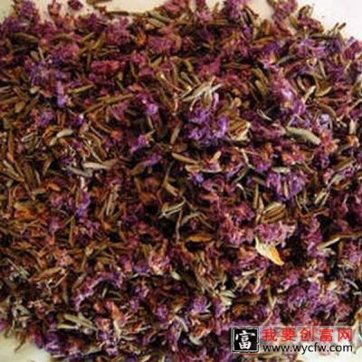 杜鹃花的功效与作用