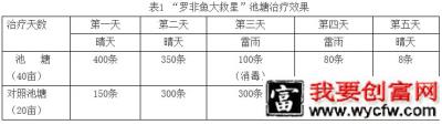 罗非鱼链球菌病高效治疗产品—“罗非鱼大救星”