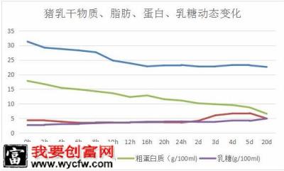 做好初乳喂养，提高仔猪成活率