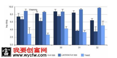 如何评价仔猪肠道健康状况？